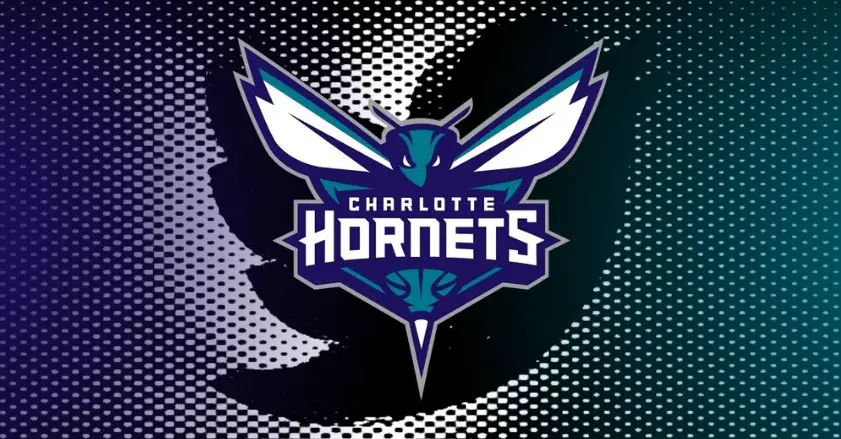 Hornets Twitter: Best Hornets Twitter Accounts to Follow